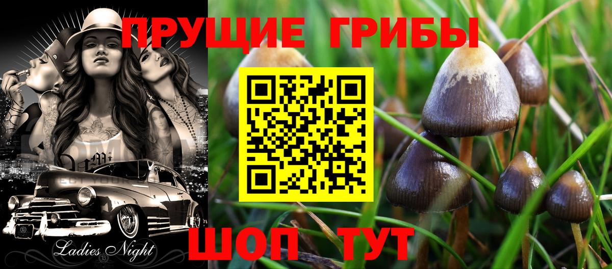 Галлюциногенные грибы мицелий Алатырь