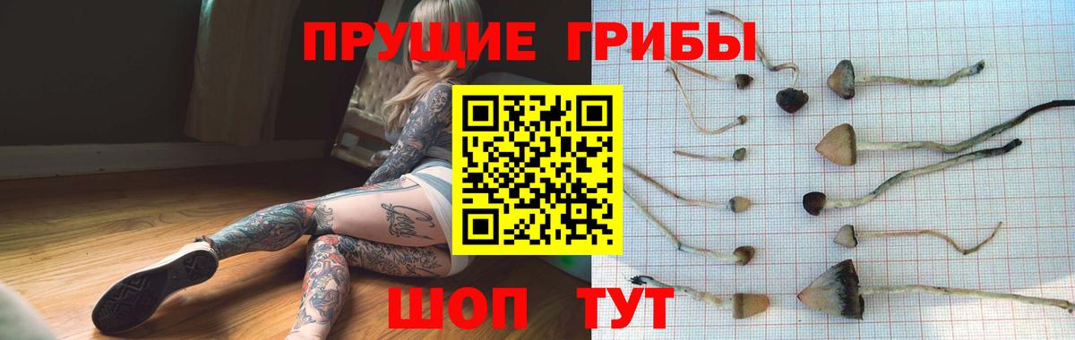 Марихуана  Алатырь  Кетамин  COCAIN  Гашиш  Гашиш  Мефедрон кристаллы  Вход с VPN 